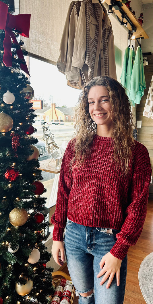 Camdyn Cabernet Sweater