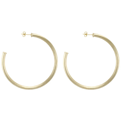 Everybody's Favorite Hoops Gold/Silver